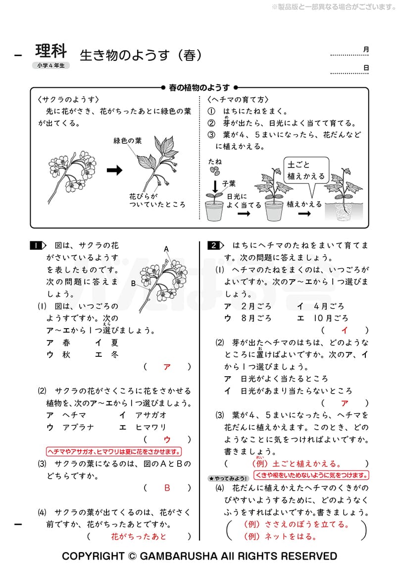 2024年がんばる舎　小2一年分＋理科、社会、パワーアップ がんばる舎 エース 2年生 1年分とはじめよう理科社会セット