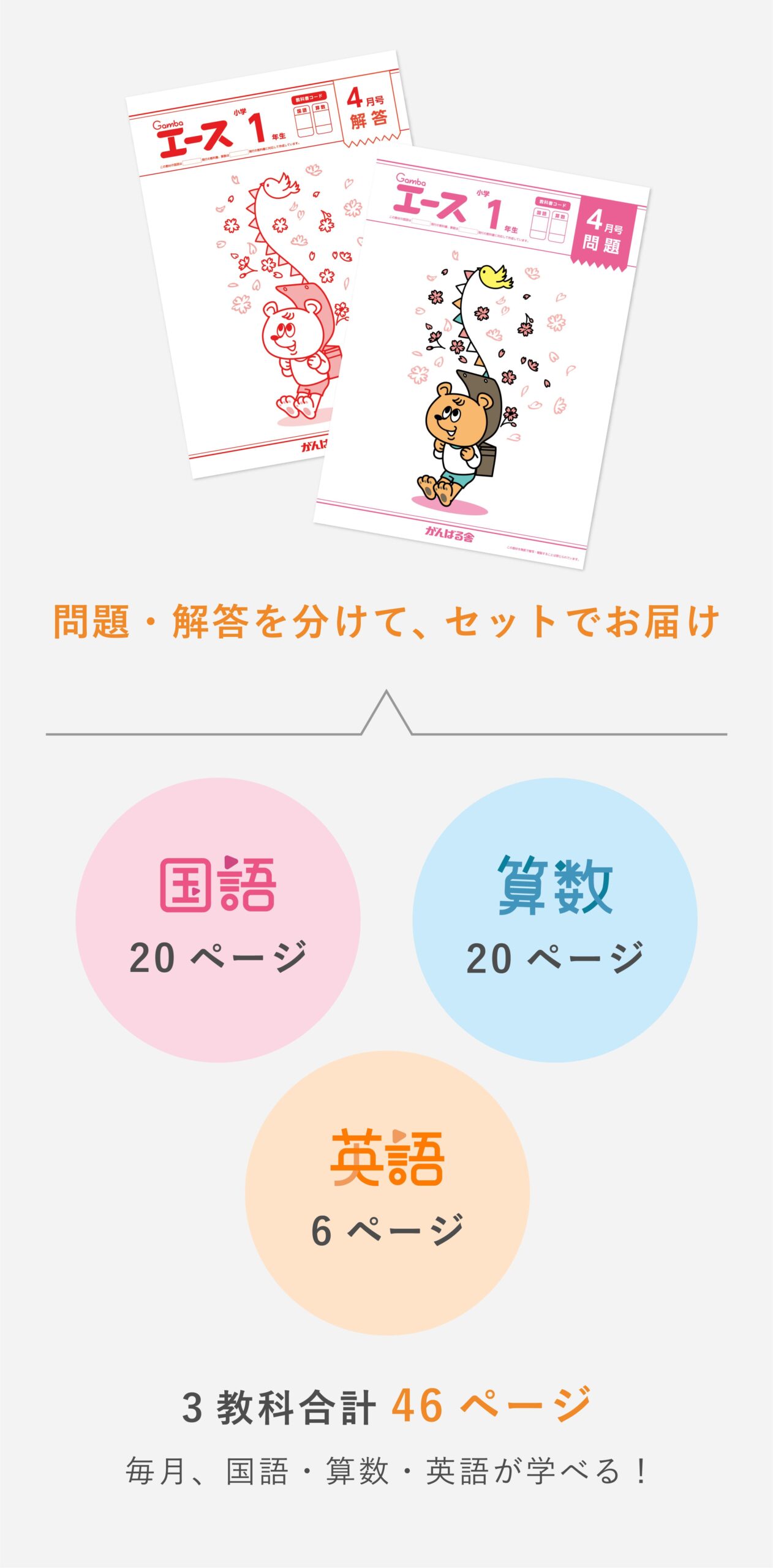 がんばる舎 Gambaエース 小４ 1年分 12冊 - 本